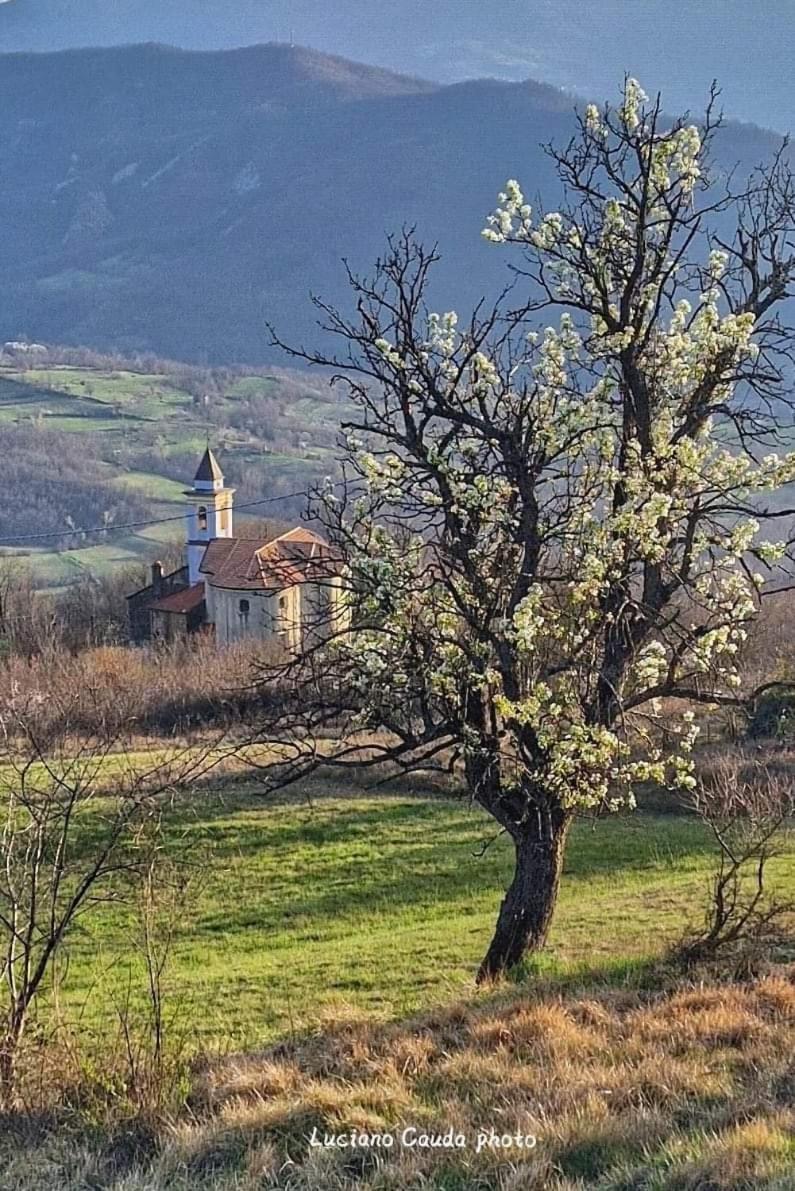 La Casa Della Lavanda Borgo Adorno Exterior foto